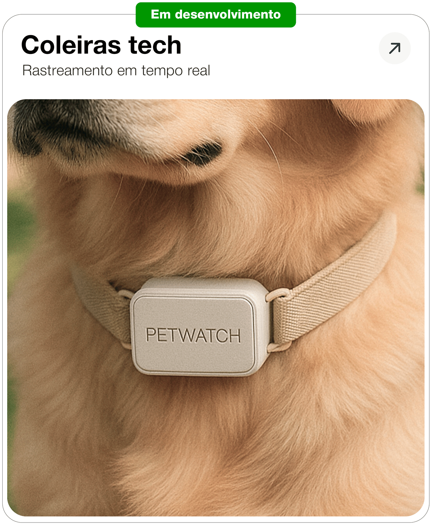 Coleiras Tech